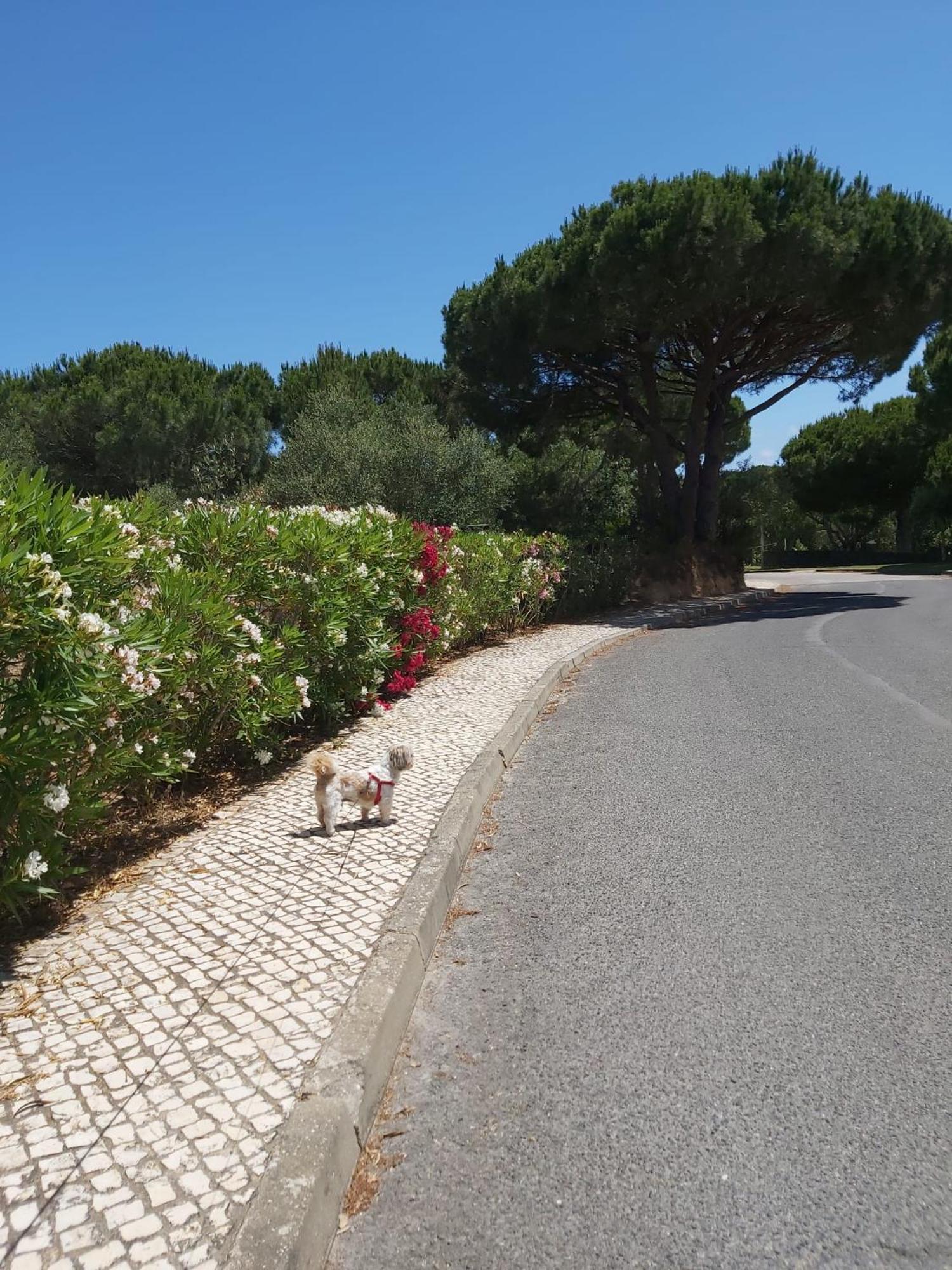 - Casa Balaia Vakantiehuis